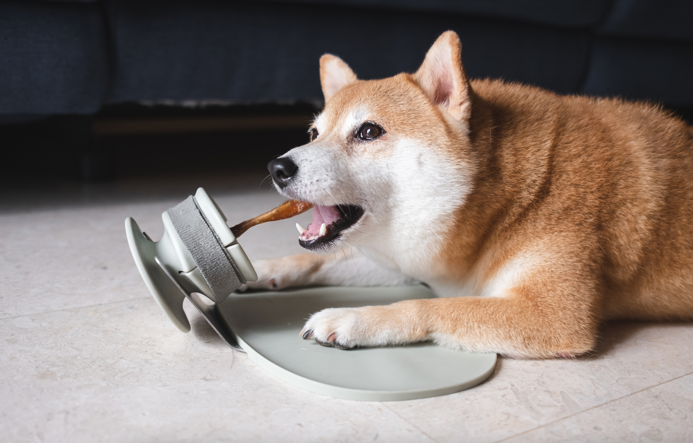 Lunoji - CHEWDEN Trove - Frozen Treat Holder