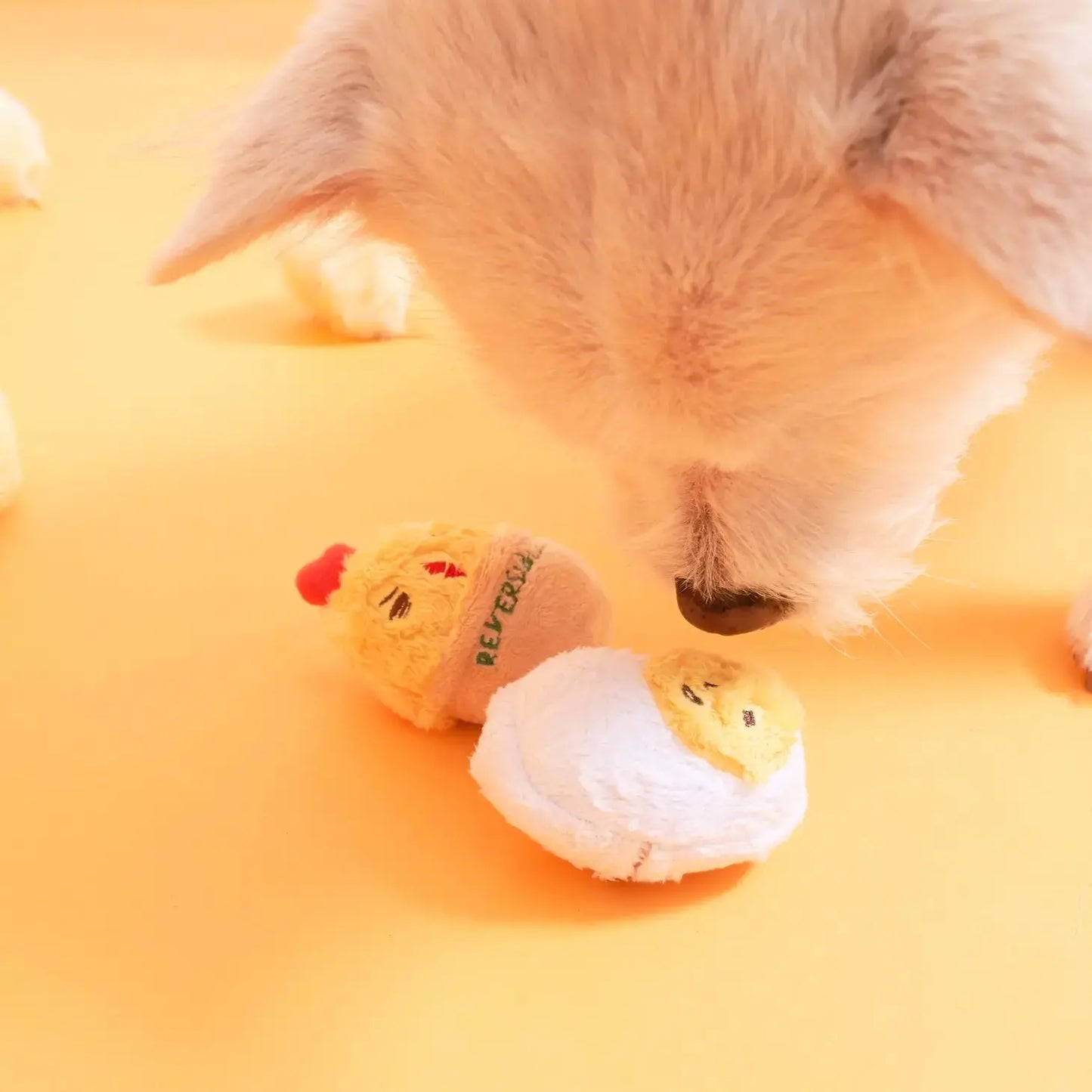 AAA+ Egg Nosework Toy THE FURRYFOLKS
