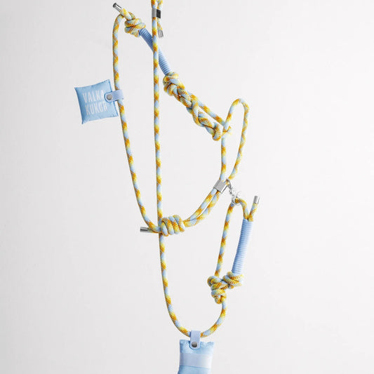 BOLD Leash Lemongrab - Fluffy Collective