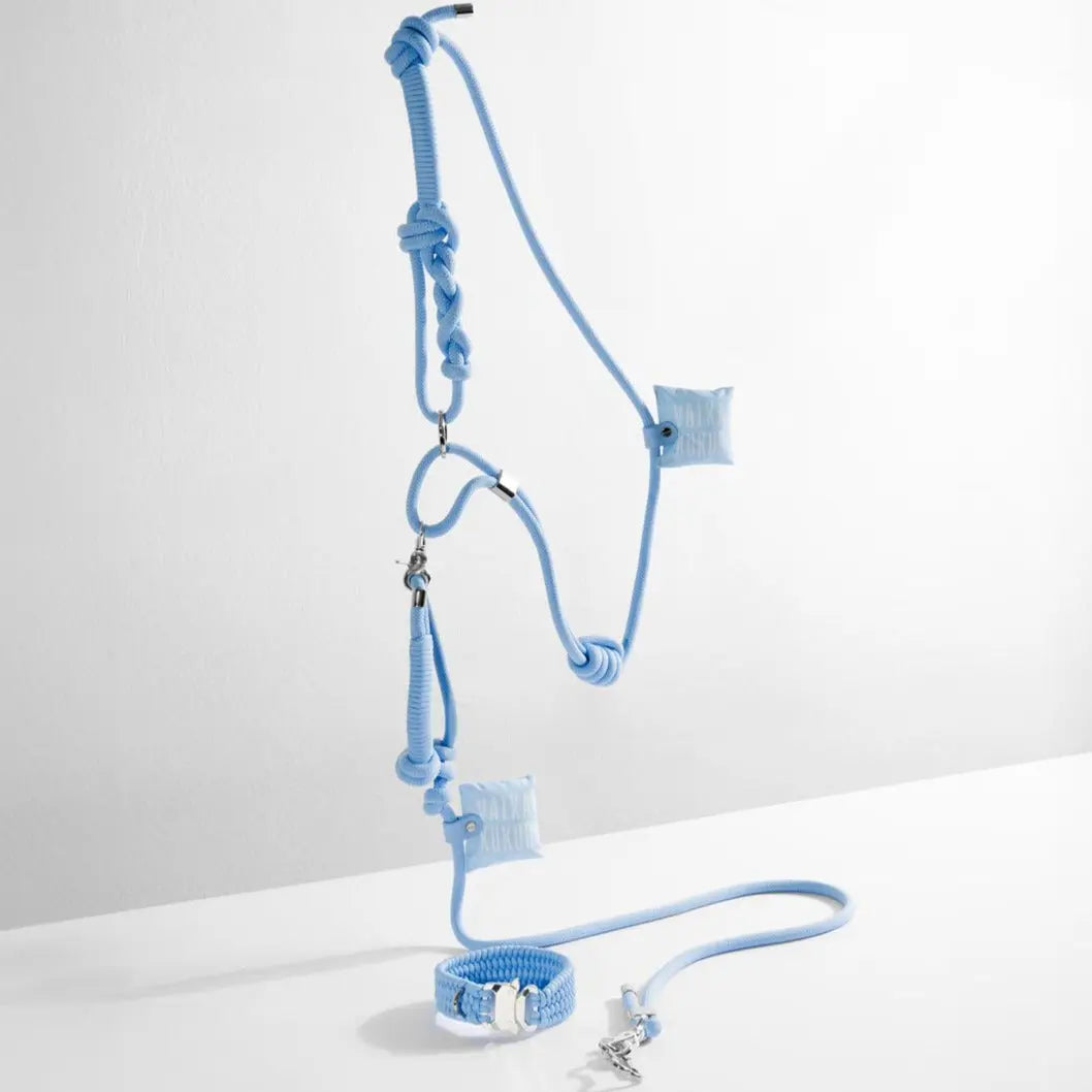 Baby Blue Rope Leash - Fluffy Collective