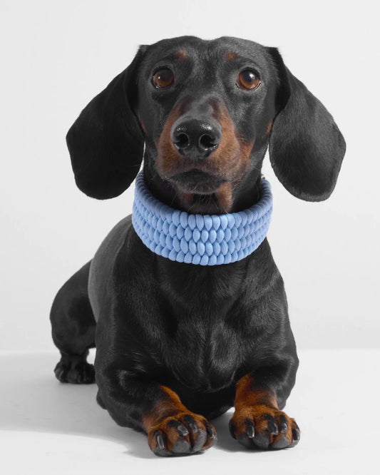 Bespoke Baby Blue Dog Collar - Fluffy Collective
