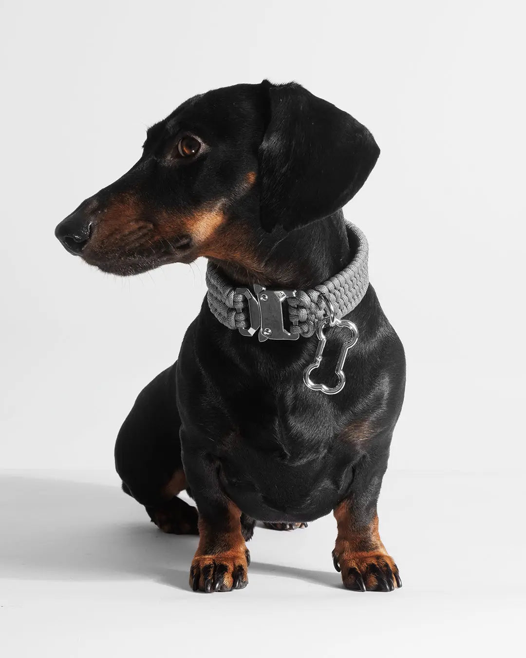Bespoke Werewolf Gray Dog Collar - Fluffy Collective