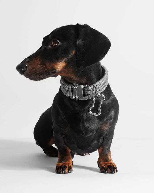 Bespoke Werewolf Gray Dog Collar - Fluffy Collective