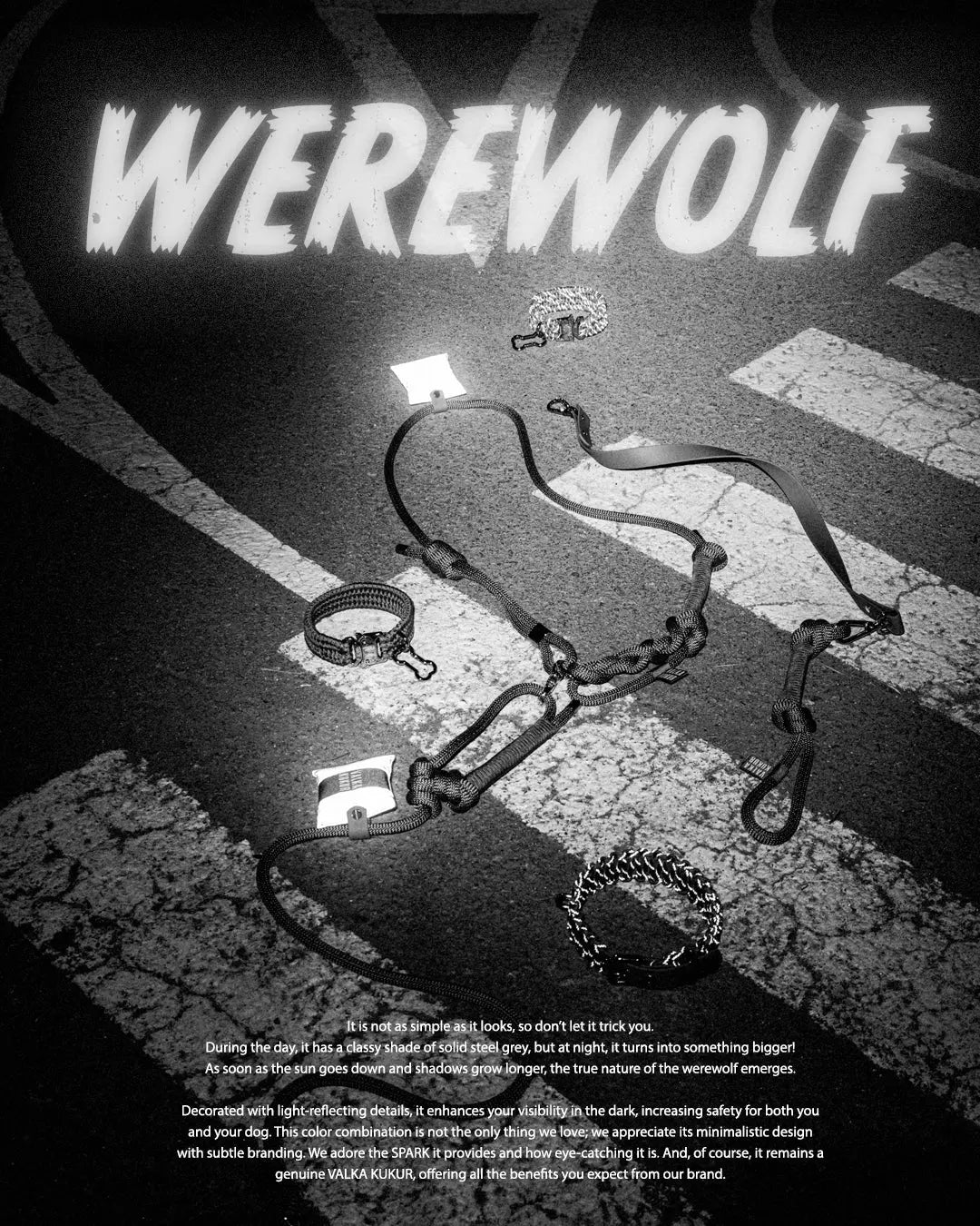 Bespoke Werewolf Gray Dog Collar - Fluffy Collective