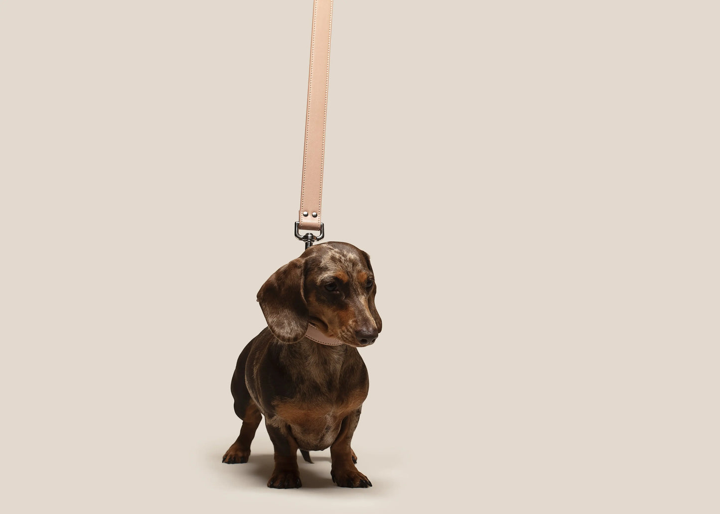 Blush Pink Leash SKYLOS COLLECTIVE