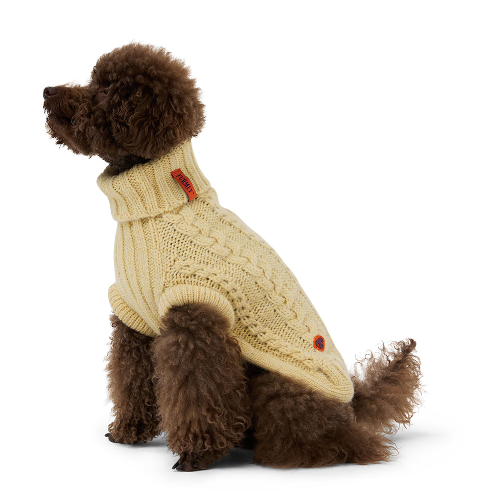 Bold Cleo Yellow Jumper - Fluffy Collective