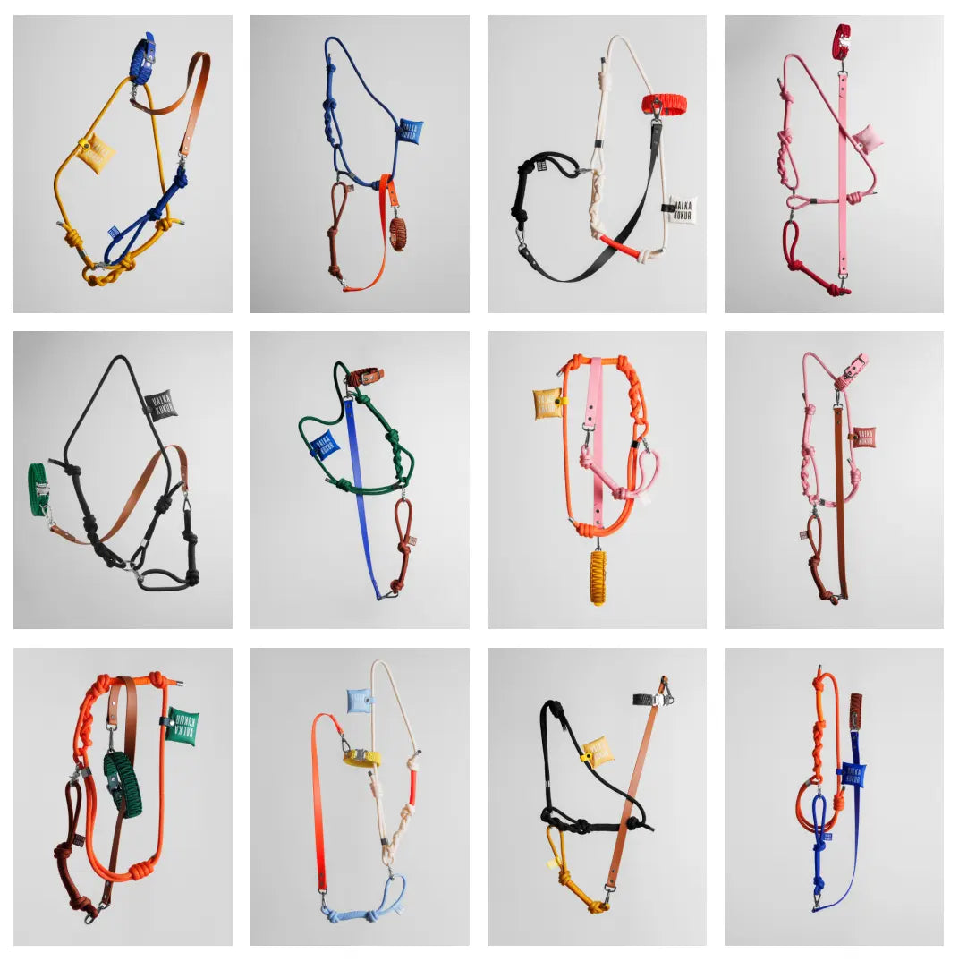 Bold Leash Set - Fluffy Collective