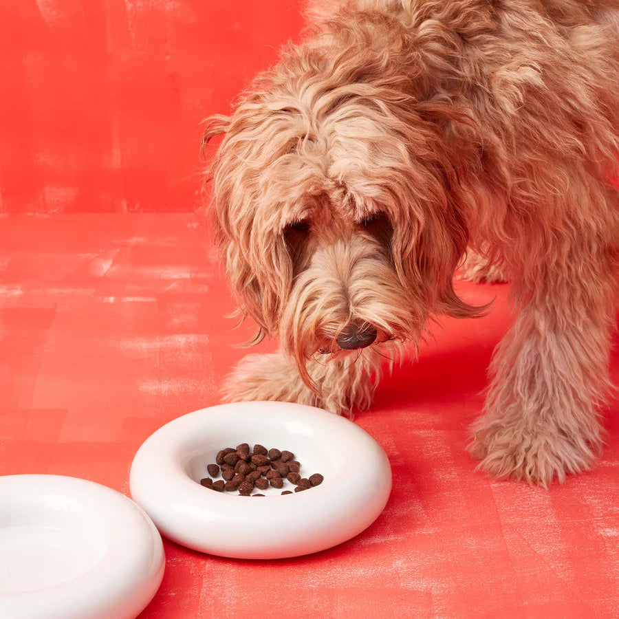 Ceramic Dog Bowl Blank