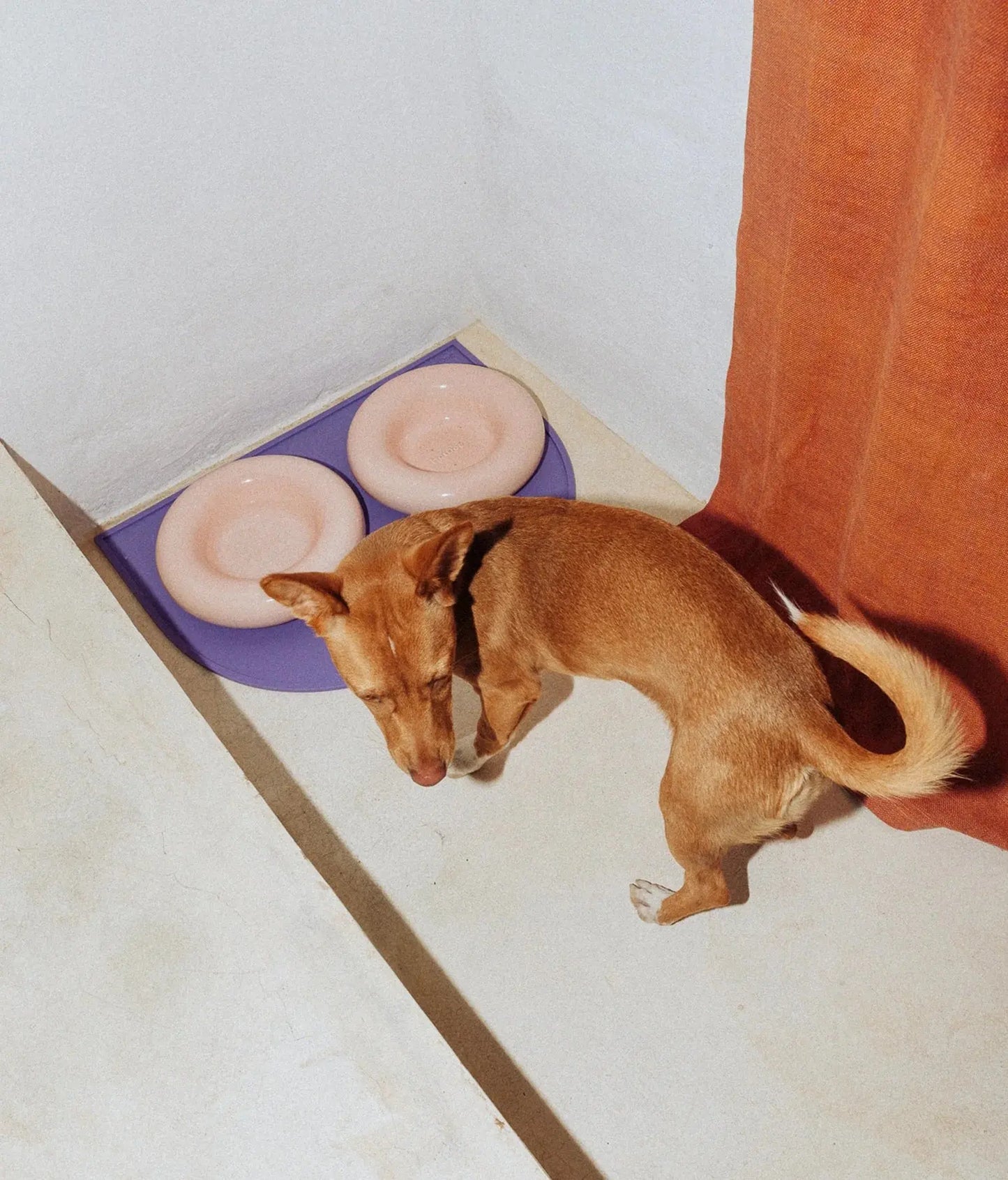 Ceramic Dog Bowl Rose - Fluffy Collective