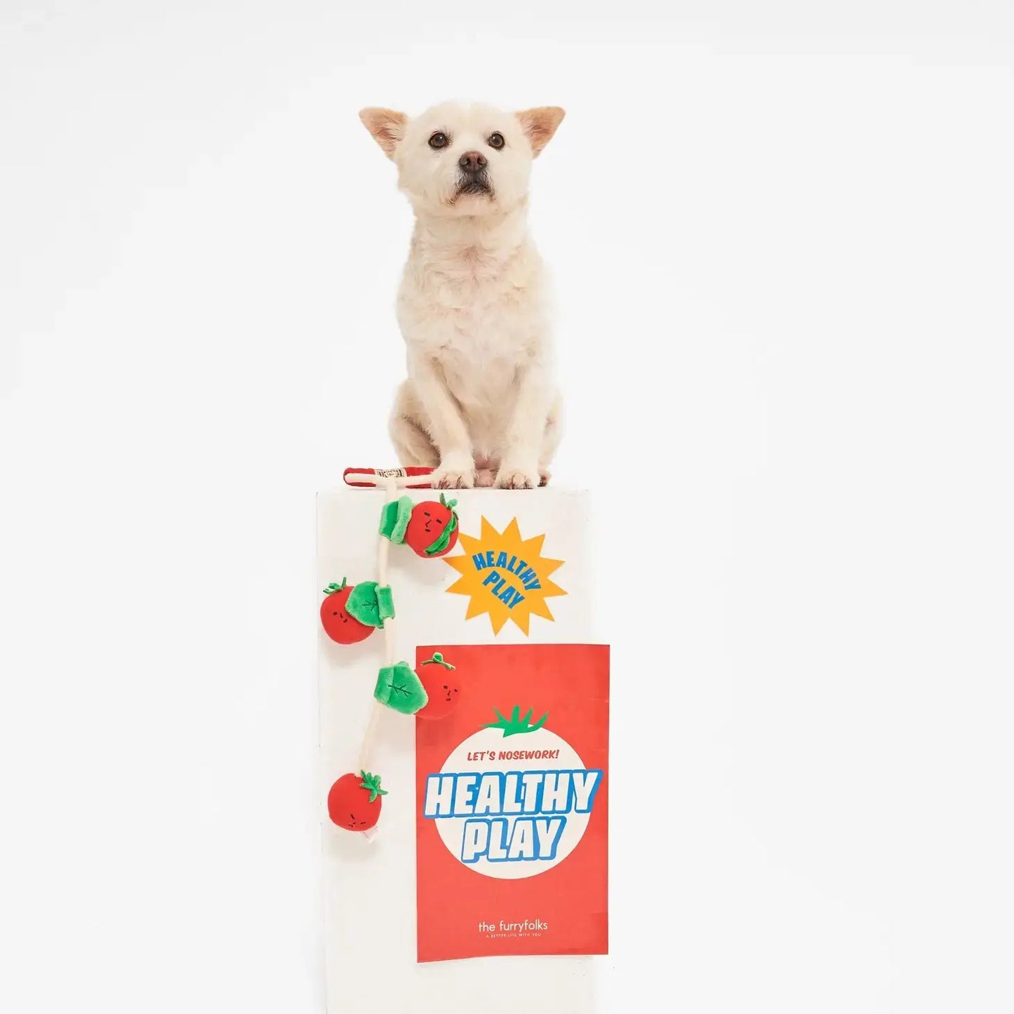 Cherry Tomato Nosework Toy THE FURRYFOLKS