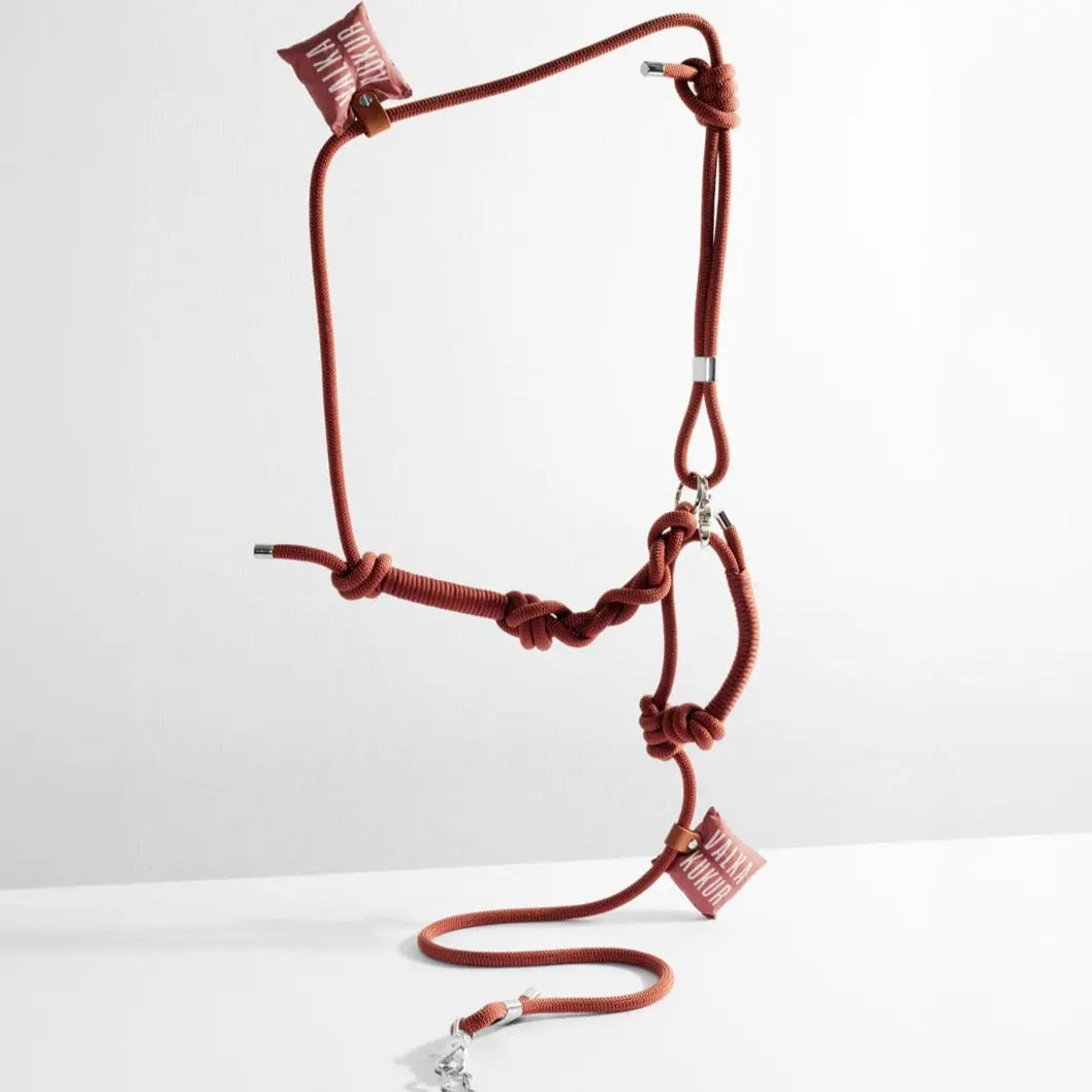 Cinnamon Rope Leash - Fluffy Collective