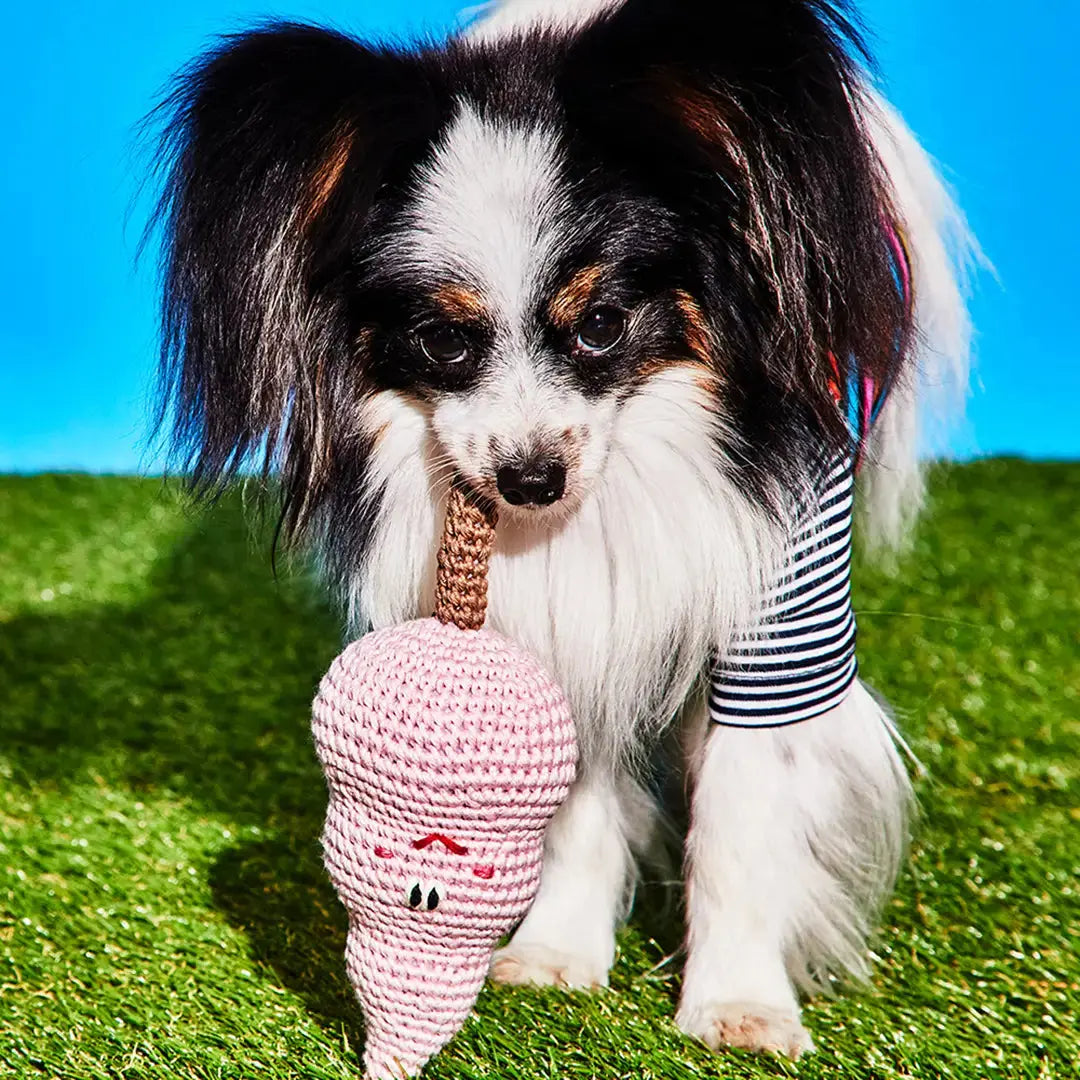 Cotton Candy WARE OF THE DOG