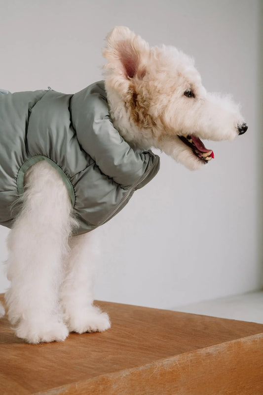 Cushy Puffer Vest Iceberg Green Fluffy Collective