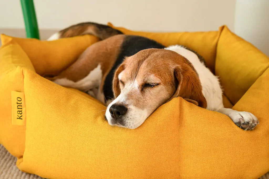 Dog Bed Luoto Honey - Fluffy Collective