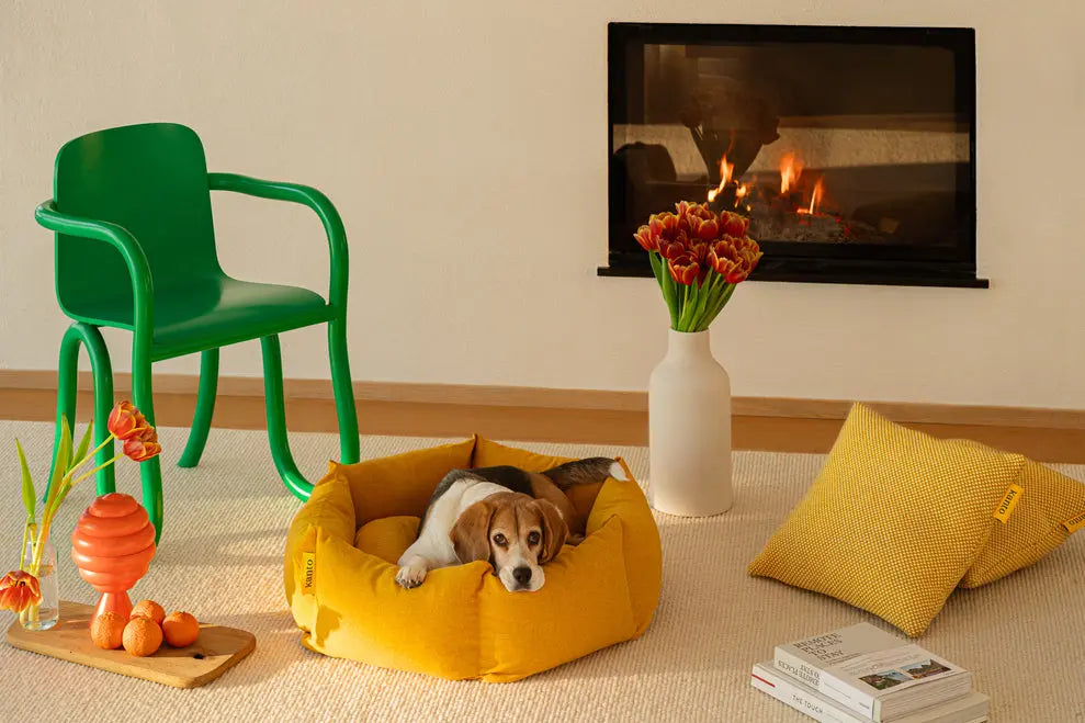 Dog Bed Luoto Honey - Fluffy Collective
