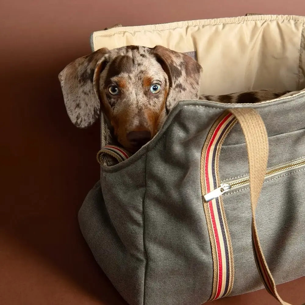 Dog Carrier Notting Hill - Fluffy Collective