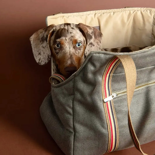 Dog Carrier Notting Hill - Fluffy Collective