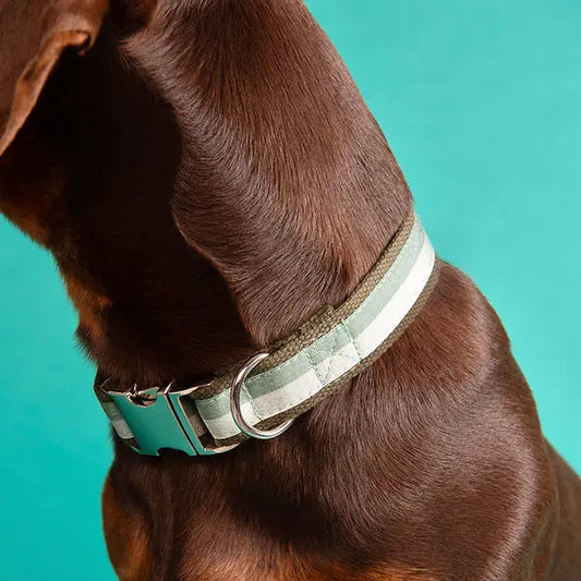 Dog Collar Amalfi - Fluffy Collective