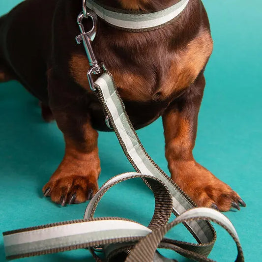 Dog Leash Amalfi - Fluffy Collective