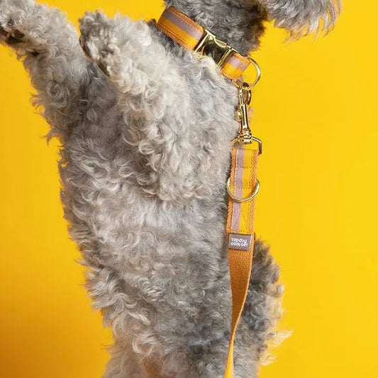 Dog Leash Positano - Fluffy Collective