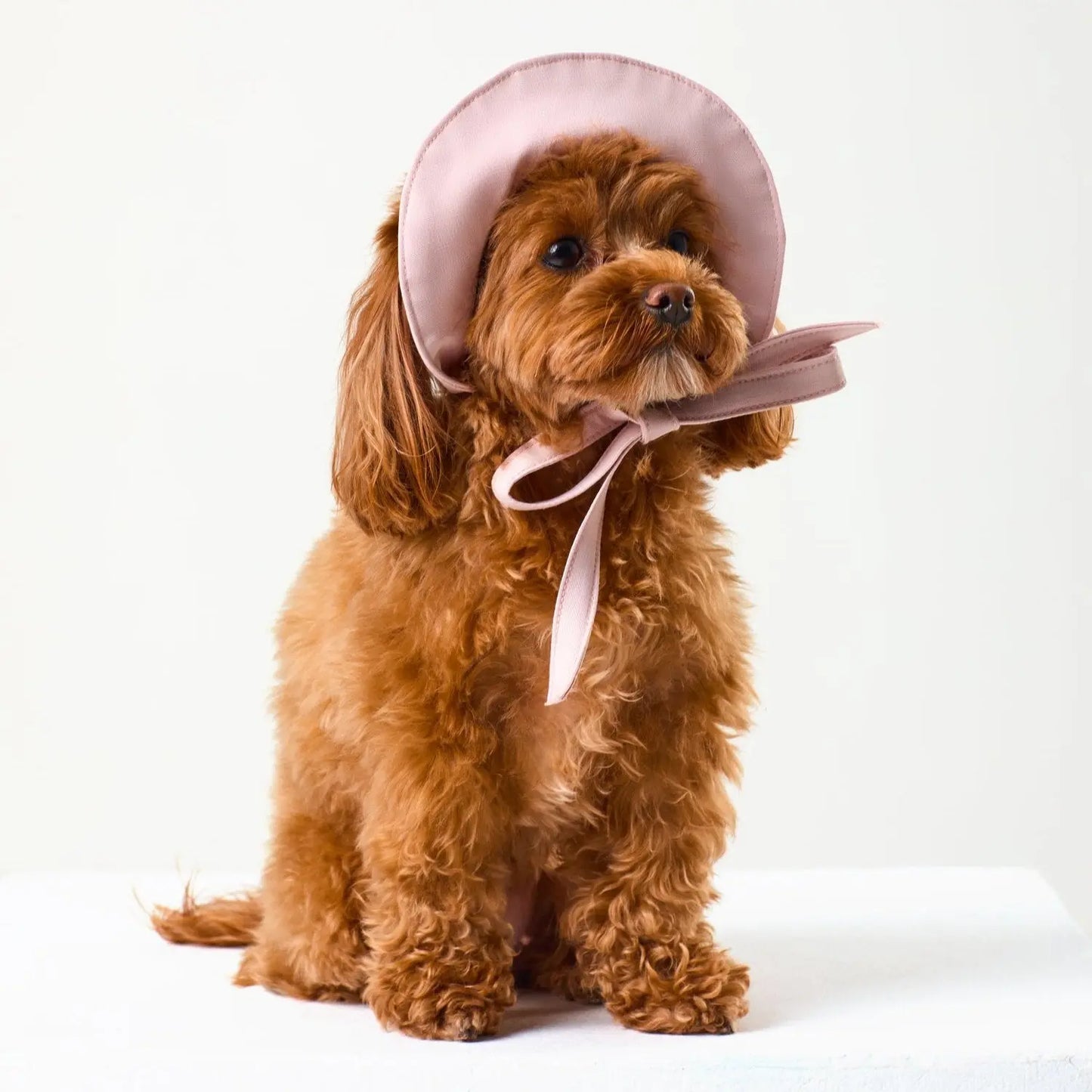 Dog Tennis Hat Pink - Fluffy Collective