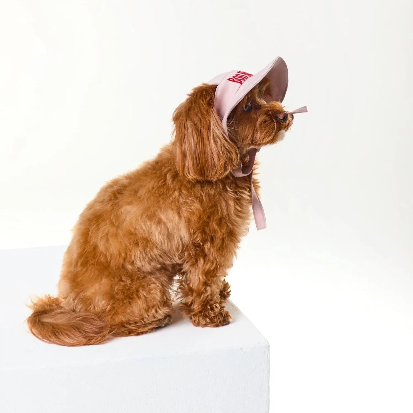 Dog Tennis Hat Pink - Fluffy Collective