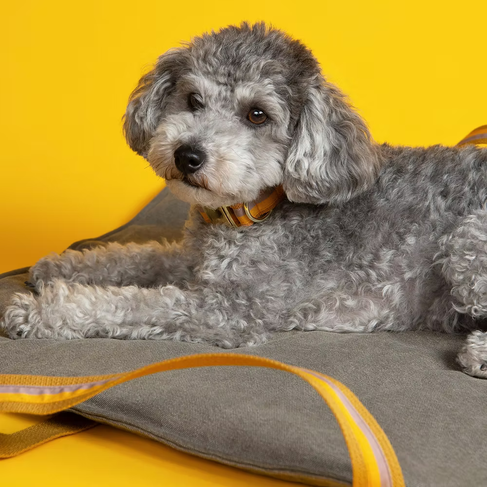 Dog Travel Mat Positano - Fluffy Collective