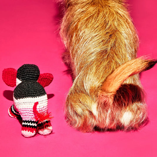 Elephant WARE OF THE DOG