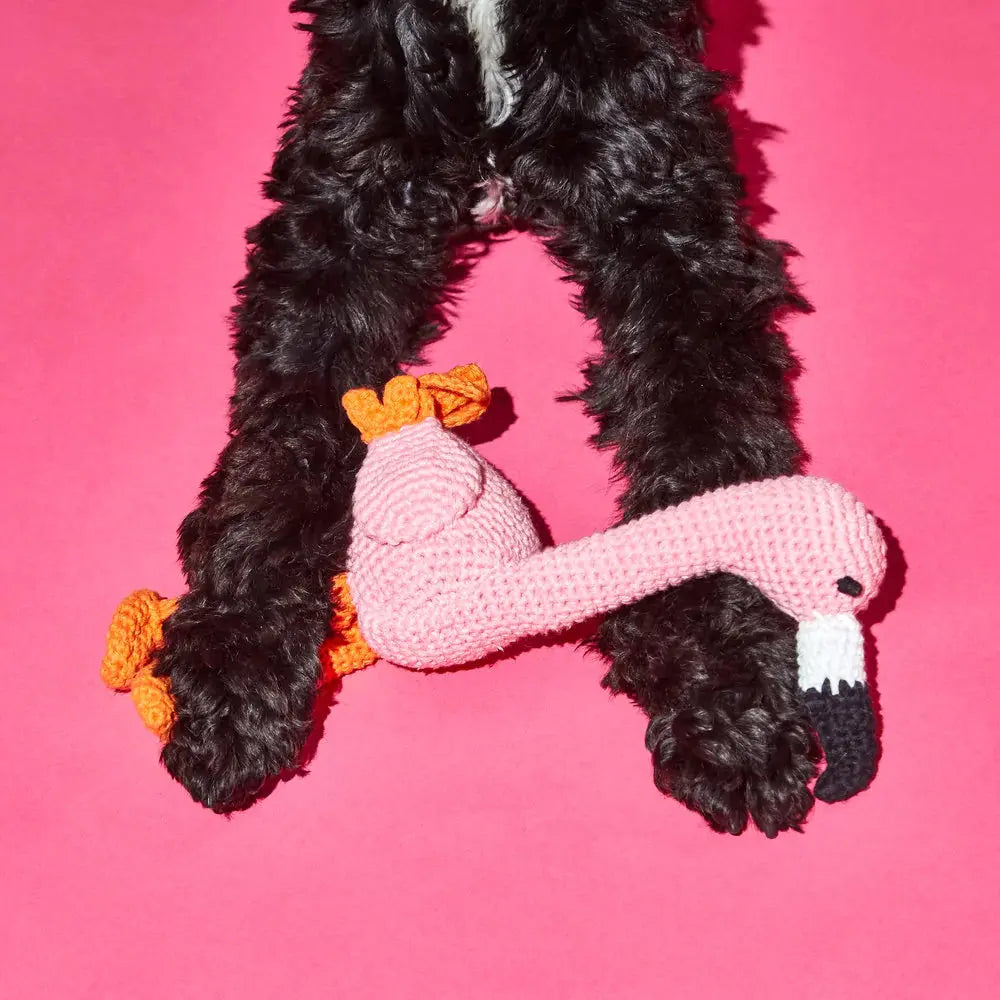 Flamingo WARE OF THE DOG