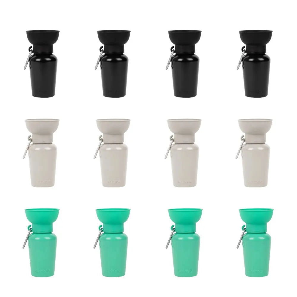 Flip Travel Bottle SPRINGER