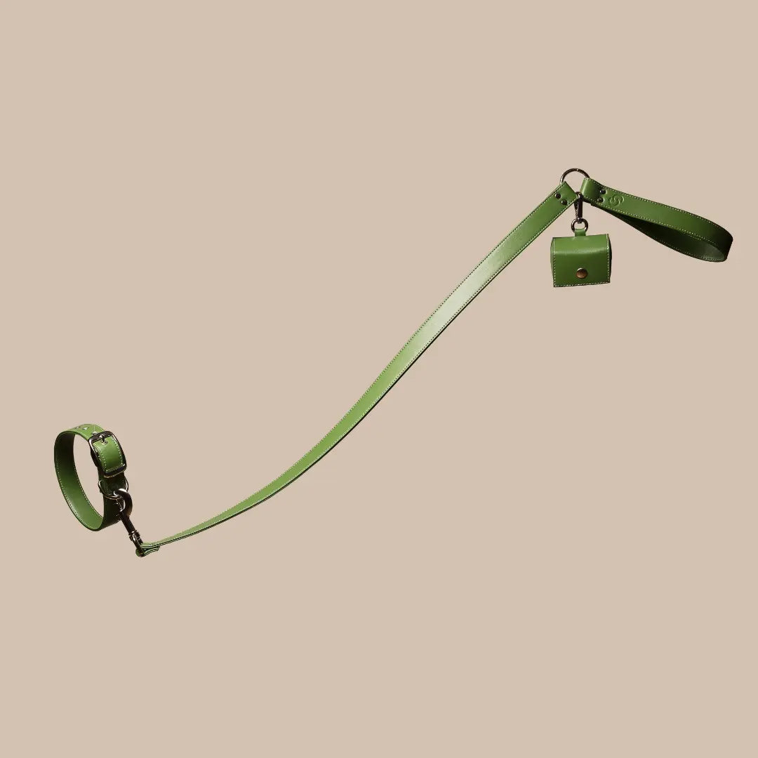 Forest Green Leash SKYLOS COLLECTIVE