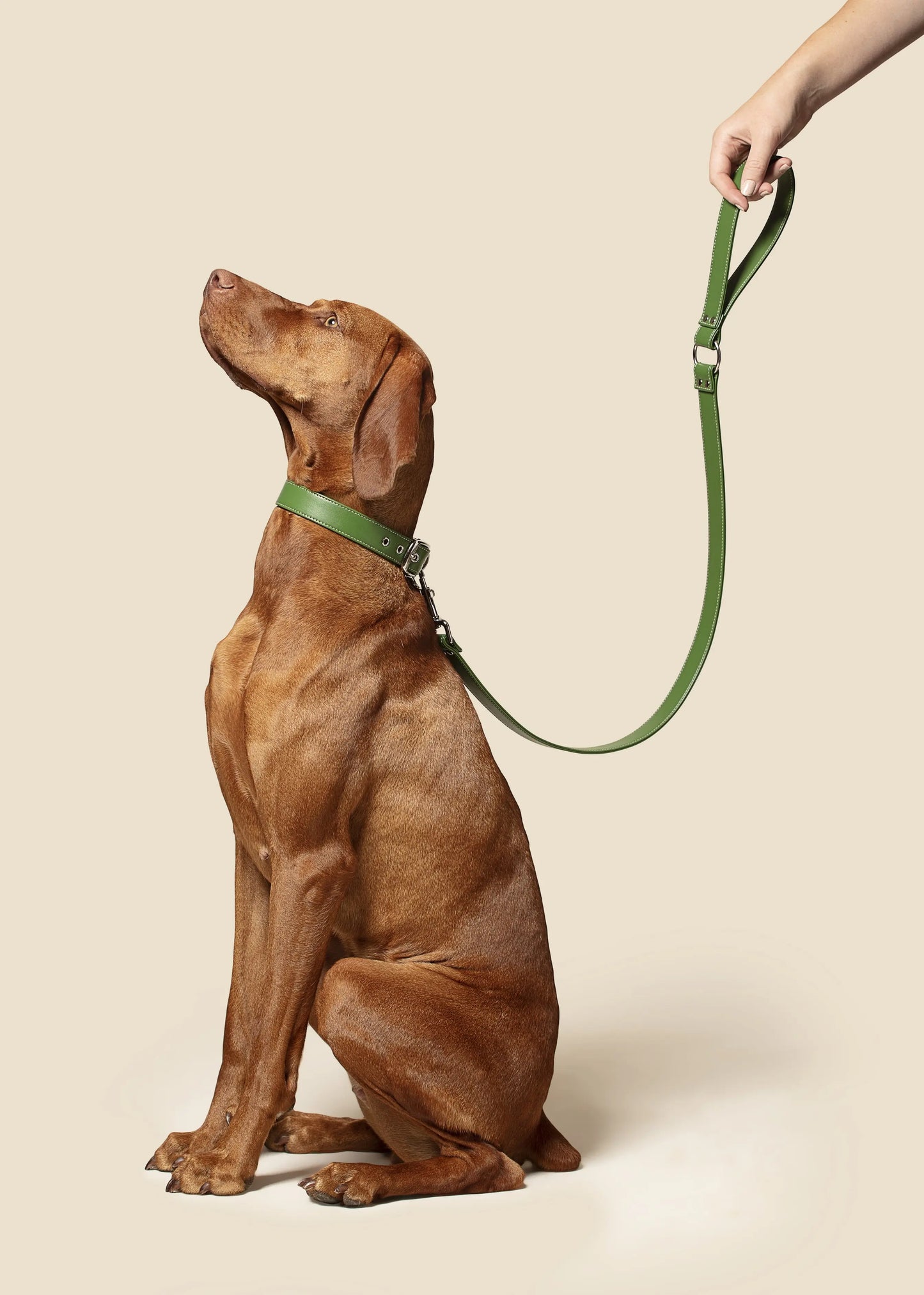 Forest Green Leash SKYLOS COLLECTIVE