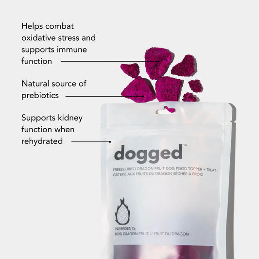 Freeze Dried Dragon Fruit Topper - Fluffy Collective