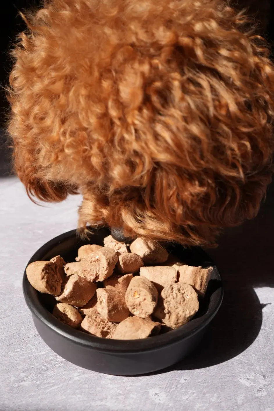 Freeze-dried Guinea Fowl Dog Treats (Copy) - Fluffy Collective