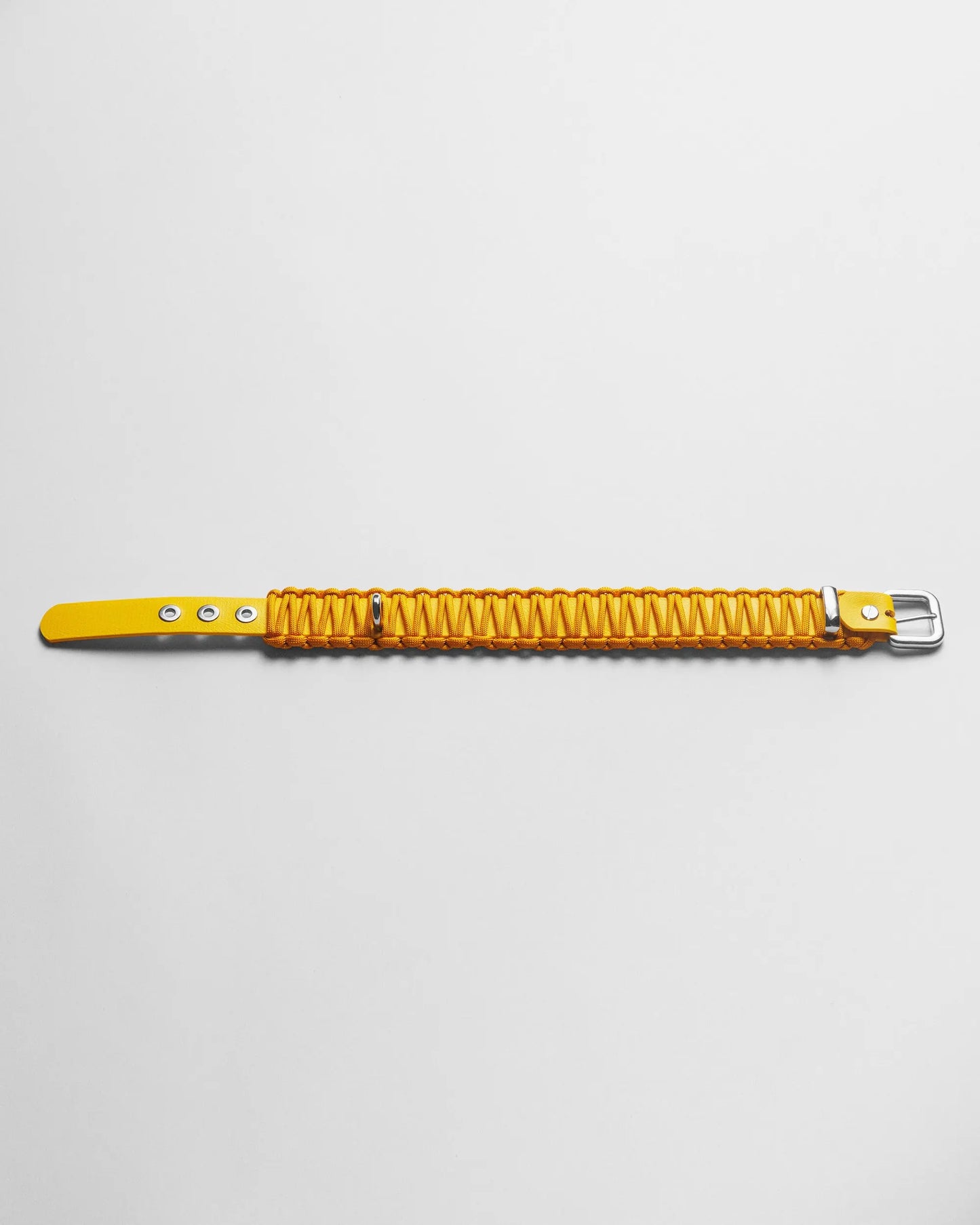 Galan B Desert Gold Dog Collar - Fluffy Collective