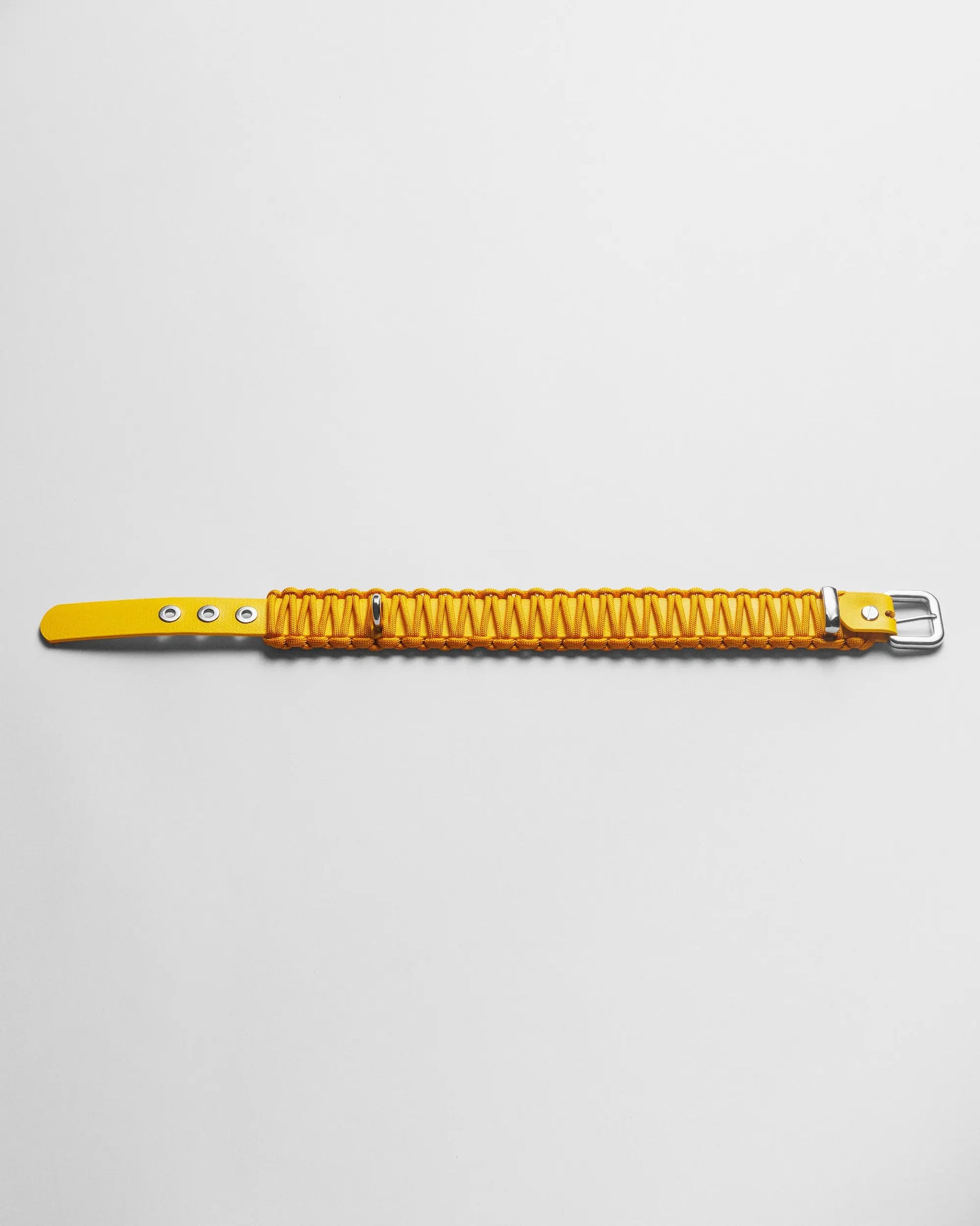 Galan B Desert Gold Dog Collar - Fluffy Collective