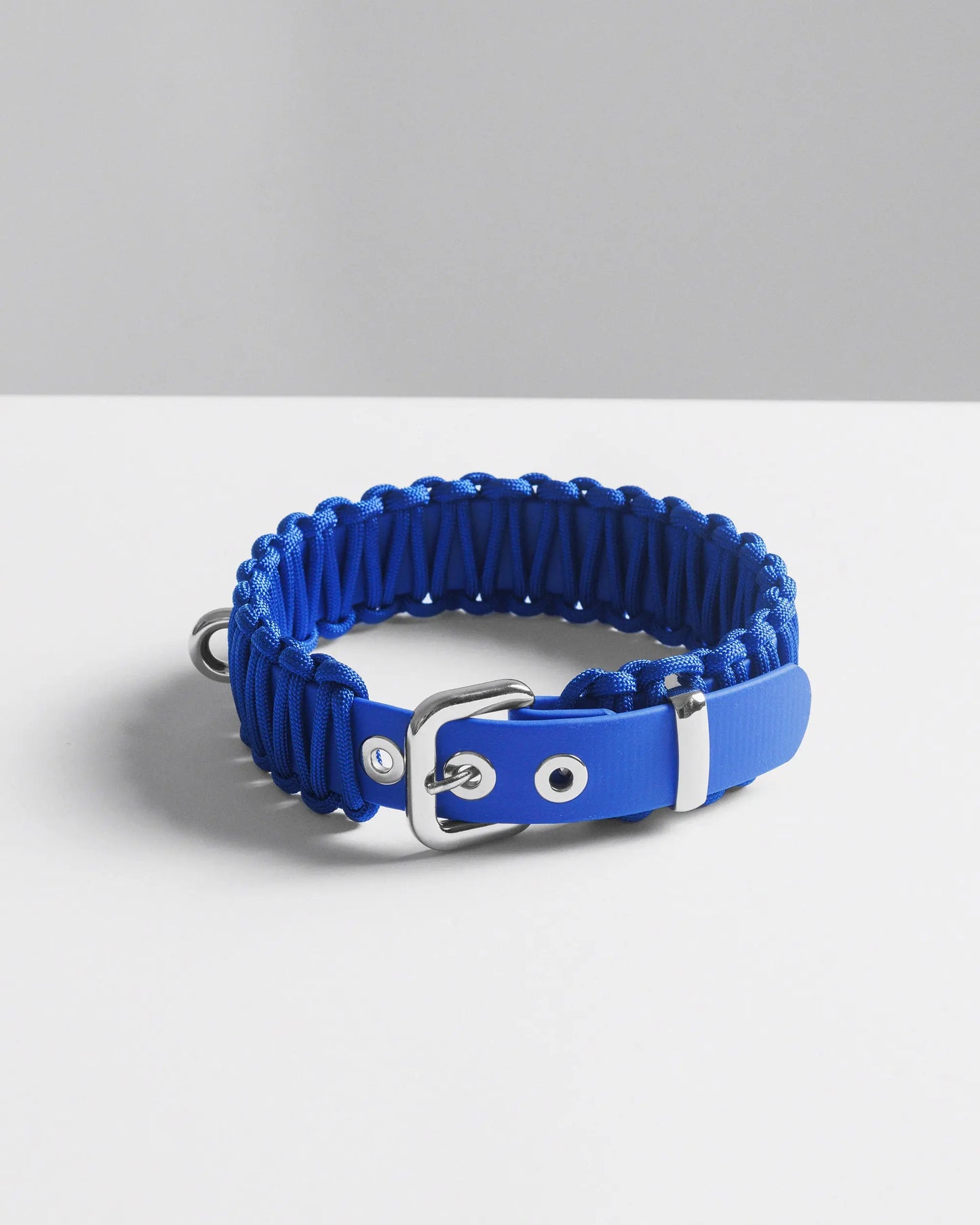 Galan B Royal Blue Dog Collar - Fluffy Collective