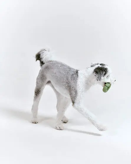 Gori Dog Toy Olive Green - Fluffy Collective