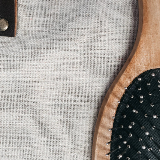 Wooden hairbrush with black bristles close-up | Hygg