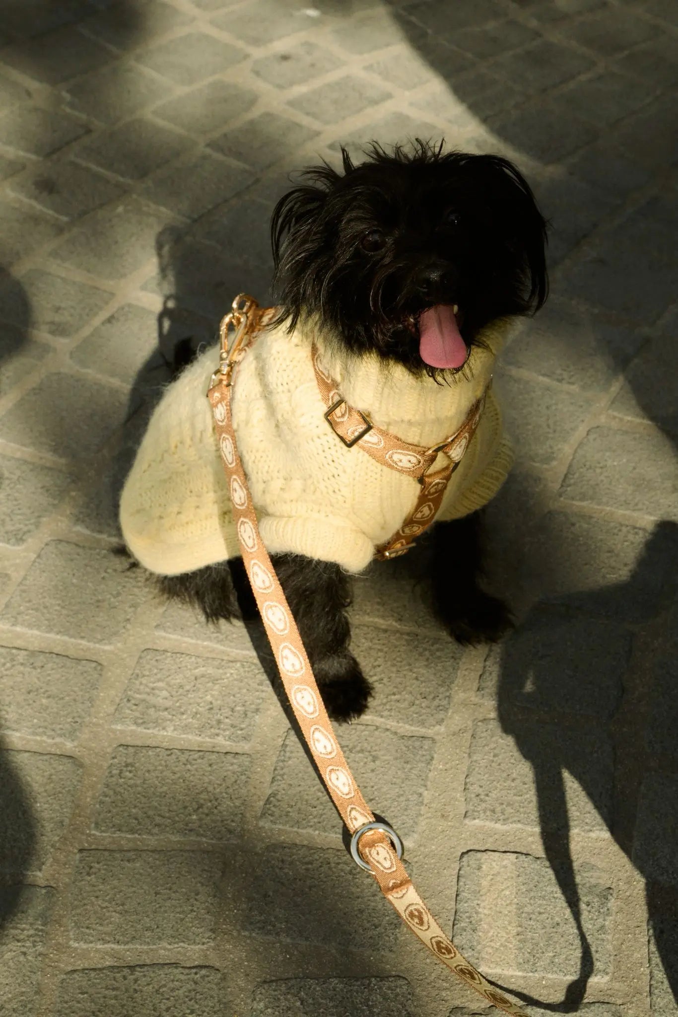 Hands-free Dog Leash Latte Brown - Fluffy Collective