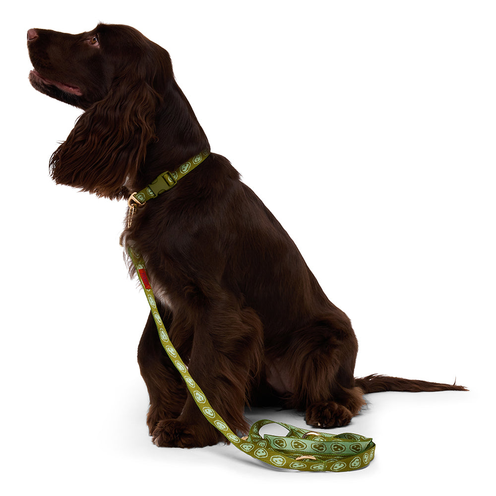 Hands-free Dog Leash Matcha Green - Fluffy Collective