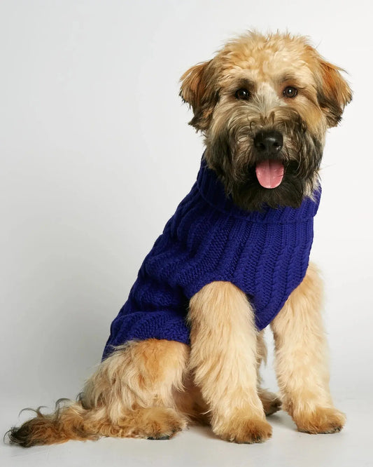 John B. Sweater THE PAINTER'S WIFE