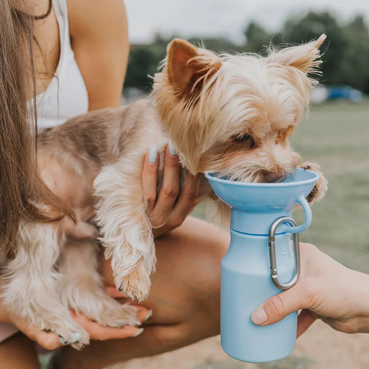 Mini Travel Bottle SPRINGER