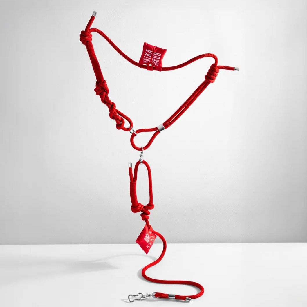 Party Red Rope Leash - Fluffy Collective