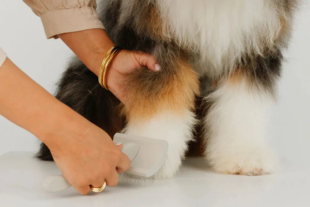 Pup Parent Essentials - Fluffy Collective