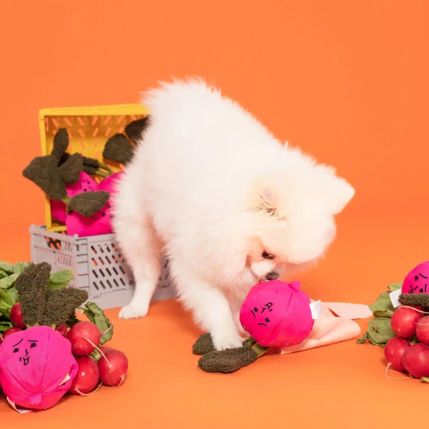 Radish Nosework Toy THE FURRYFOLKS
