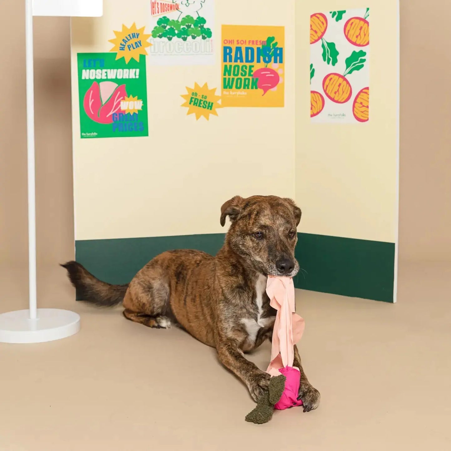 Radish Nosework Toy THE FURRYFOLKS