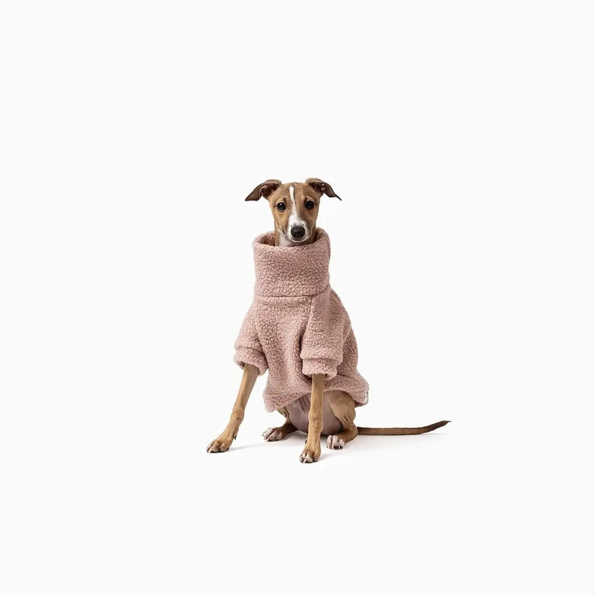 Rosie Teddy Jumper MISTER WOOF