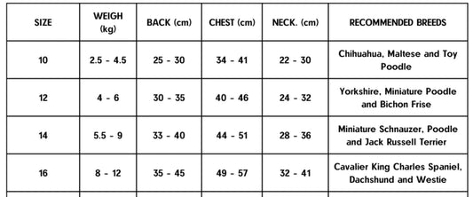 The Painter's Wife Sarah Raincoat Blue & Yellow – Sarah Raincoat size guide showing measurements and fitting