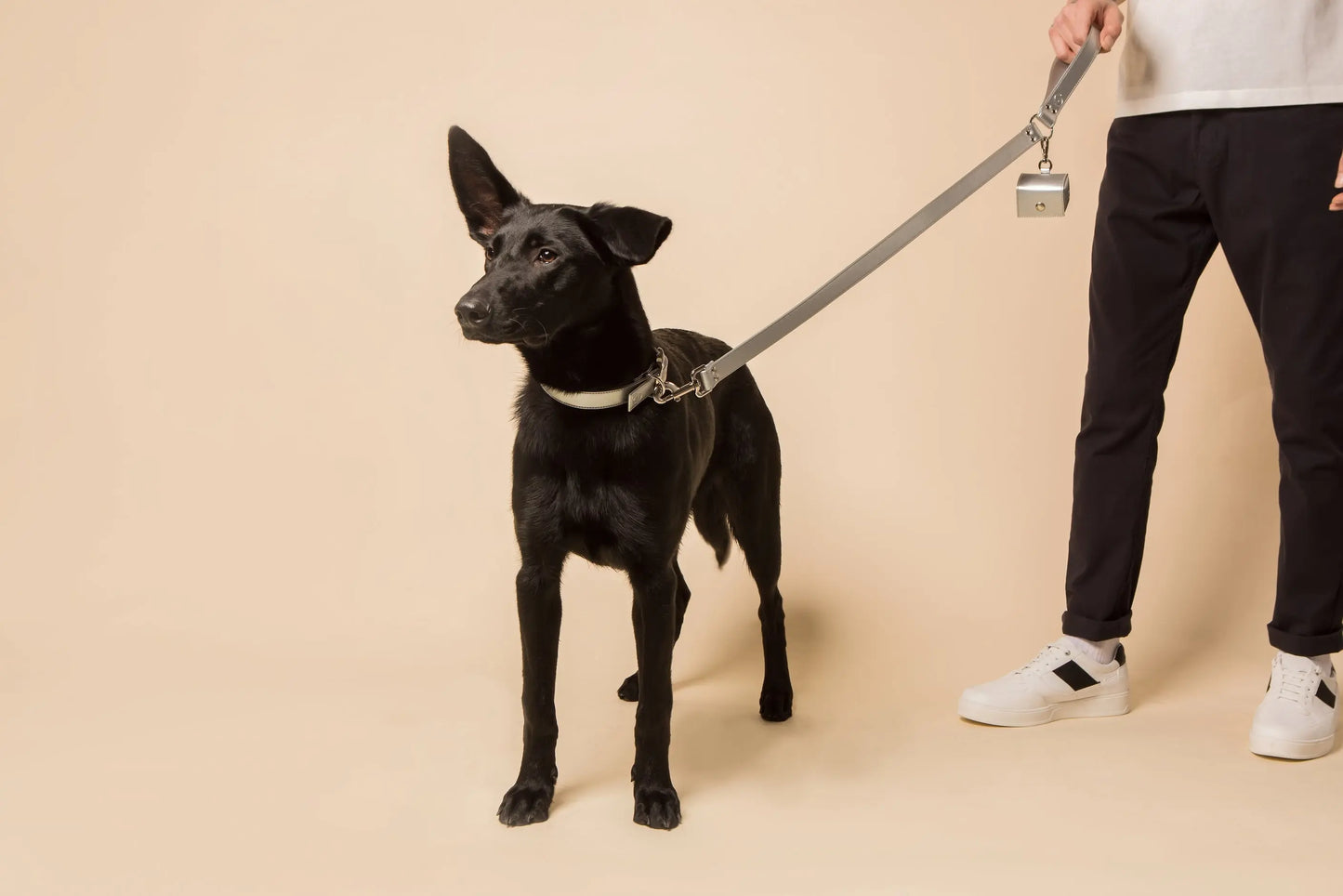 Silver Collar SKYLOS COLLECTIVE